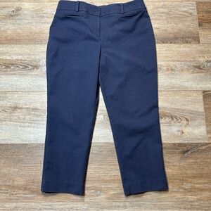 Ann Taylor LOFT Julie Navy The Rivera Pant size 10 Pull-On Ankle pants